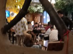 -猫猫幼稚园·撸猫·桌游·电玩