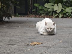 -陈三炖鸡馆(金众小区店)