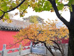 -潭柘寺景区