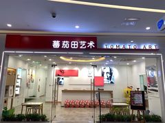 -学知乐教育·幼小衔接·小学科辅导(浦东外高桥森兰中心)