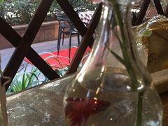 -臻味私厨(国际社区店)