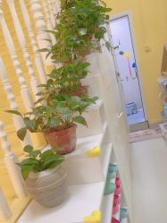 -鱼乐贝贝婴幼儿亲子水育(幸福街店)