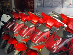 -九号电动车(安定门内大街店)