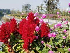 -上海植物园-4号门售票处