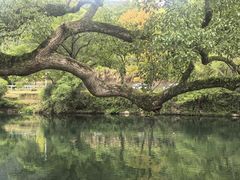 -上坦村