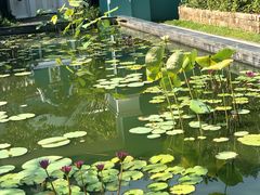 -富国岛翡翠湾 JW 万豪度假酒店