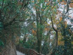 -窦圌山风景区