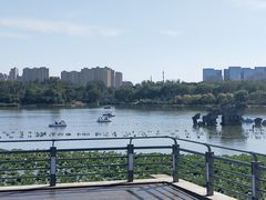 -大兴滨河森林公园