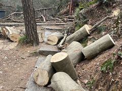 -青龙山国家森林公园