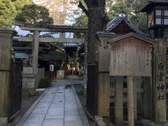 -京都御所