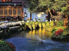 -杭州植物园