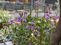 -大妙火锅·非物质文化遗产(东湖公园店)