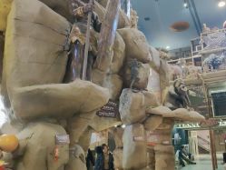 -卡通尼·Safari非洲探索乐园·生日会(金桥国际商业广场店)