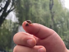 -酷鱼垂钓CLUB(朝阳区博大路店 )