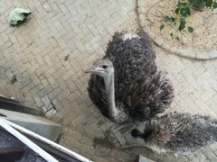 -武汉紫薇都市田园