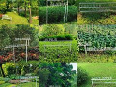 -云溪植物园