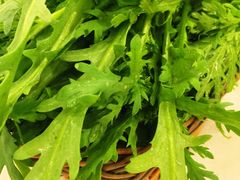 -老诚一锅羊蝎子(垡头店)