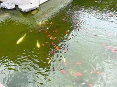 -祝家花園(伯渎港店)