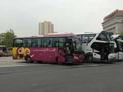 -灵玲国际马戏城