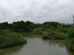-梁鸿国家湿地公园