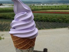 美食-富田农场