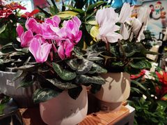 -大润发(南湖店)