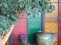 -绿茶餐厅(华联万柳店)