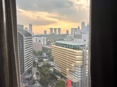-新加坡乌节希尔顿酒店
