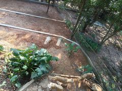 -深圳野生动物园