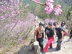 -天台山赤城山景区