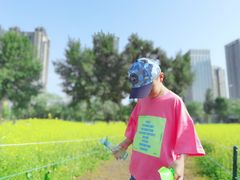 -长白岛森林公园