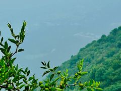 -北京西山国家森林公园