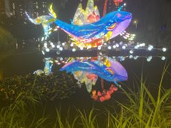 -洋湖国家湿地公园