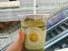 -宝藏绿洲(万象前海店)