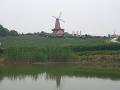-大塘金香草谷