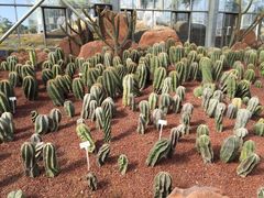 -南通洲际绿博园