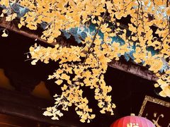 -龙华素斋(龙华路店)