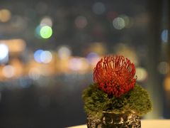 -金轩中餐厅 Jin Xuan(浦东丽思卡尔顿酒店)