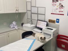 -可蒙动物医院·猫科·骨科中心(首义路店)