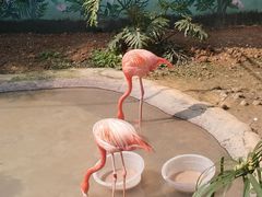 -成都动物园