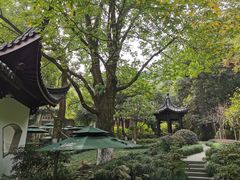 -十八棵（老龙井）御茶园(老龙井店)