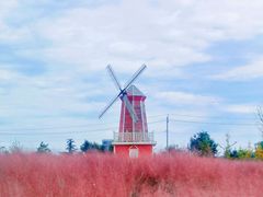 -羊亭河湿地公园