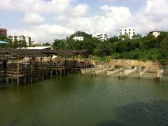 养殖区-邹记·美食(斗门店)