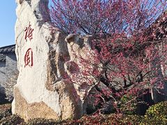 -梅园
