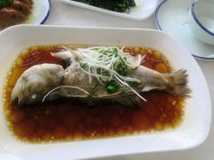 -云中小雅