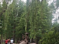 -溱湖国家湿地公园