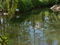 -苏州河梦清园环保主题公园