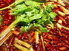 -蛙蛙鸡冷锅鱼(驷马桥店)