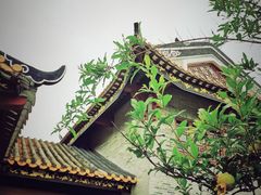-顺峰山公园
