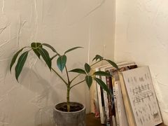 -MAISON门前杂货店